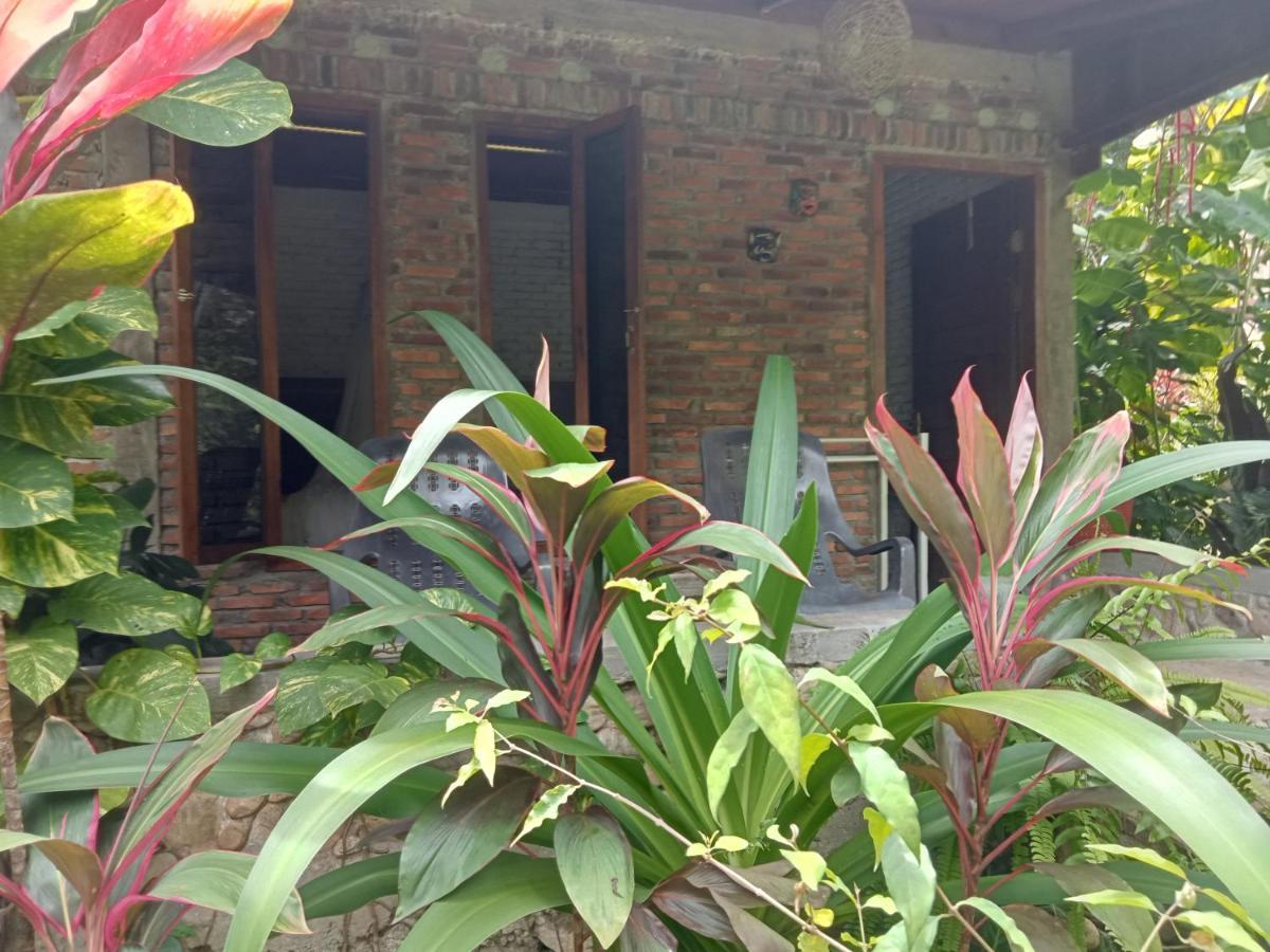 Lhokuenam Thousand Hills Ketambe ,Room And Treking المظهر الخارجي الصورة