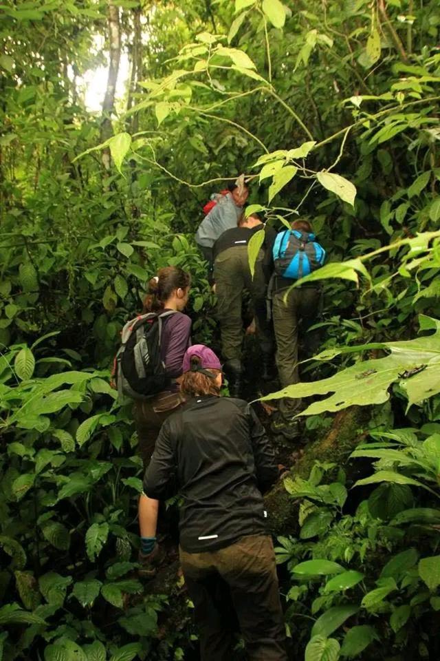 Lhokuenam Thousand Hills Ketambe ,Room And Treking المظهر الخارجي الصورة